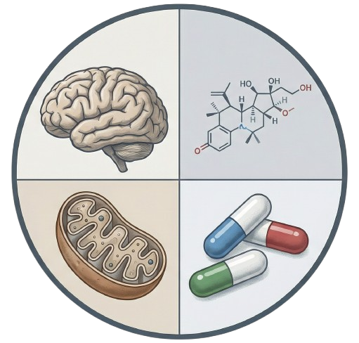 Barreto Lab logo
